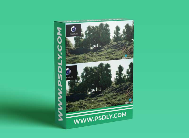 Forester For Cinema 4D