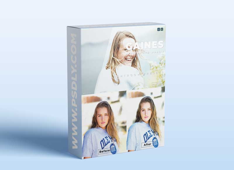 Gaines Desktop and Mobile Lightroom Preset