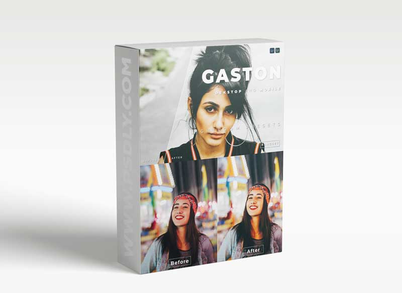 Gaston Desktop and Mobile Lightroom Preset