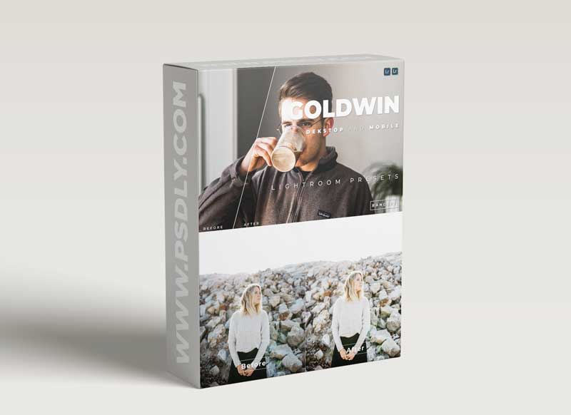 Goldwin Desktop and Mobile Lightroom Preset