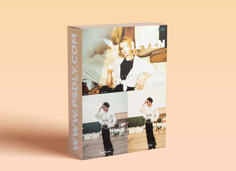 Lieven Desktop and Mobile Lightroom Preset