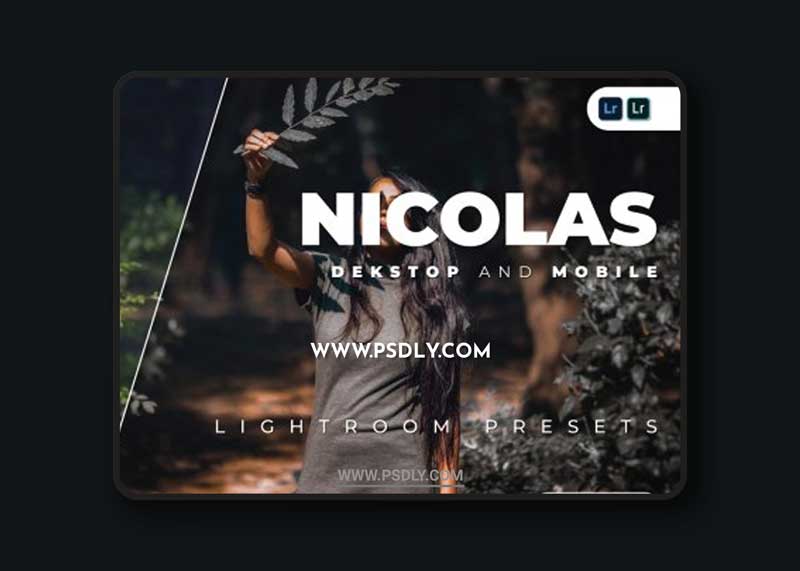 Nicolas Desktop and Mobile Lightroom Preset