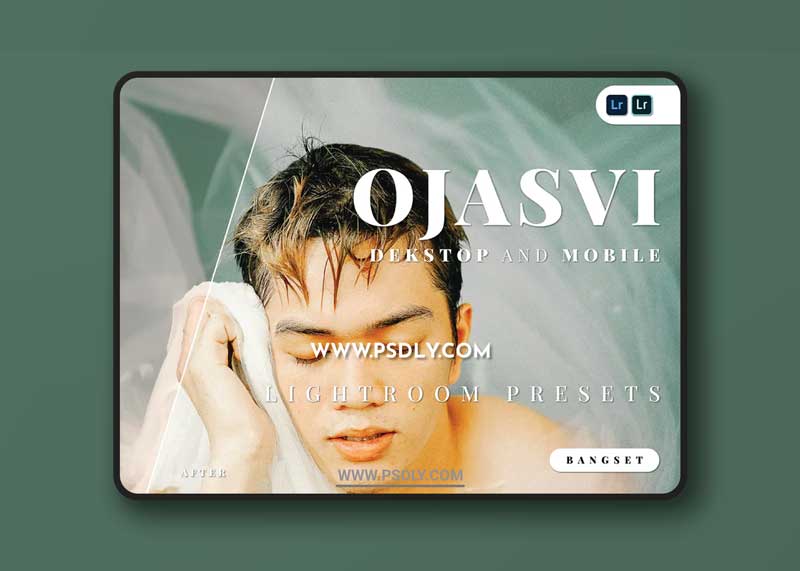 Ojasvi Desktop and Mobile Lightroom Preset