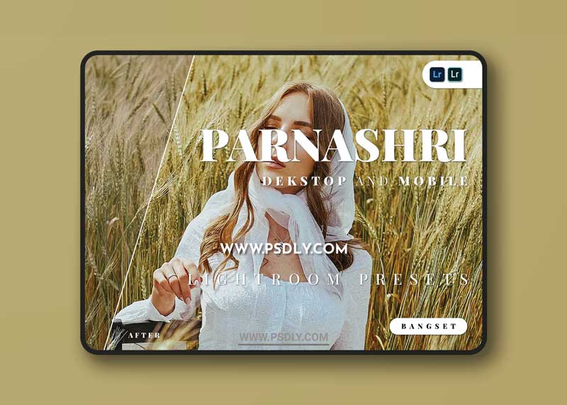 Parnashri Desktop and Mobile Lightroom Preset