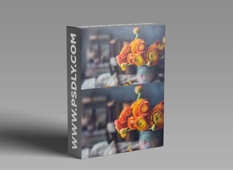 Pushing The Boundaries With Unconventional Lenses In Your Photography