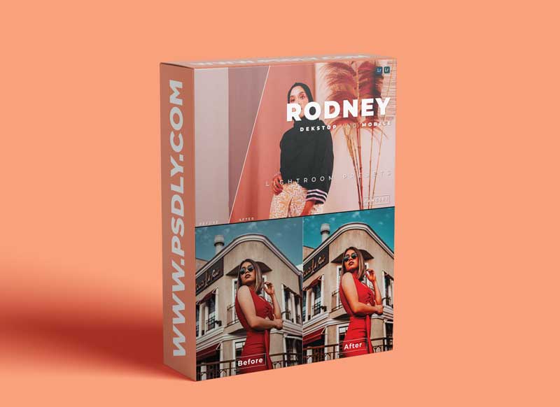 Rodney Desktop and Mobile Lightroom Preset