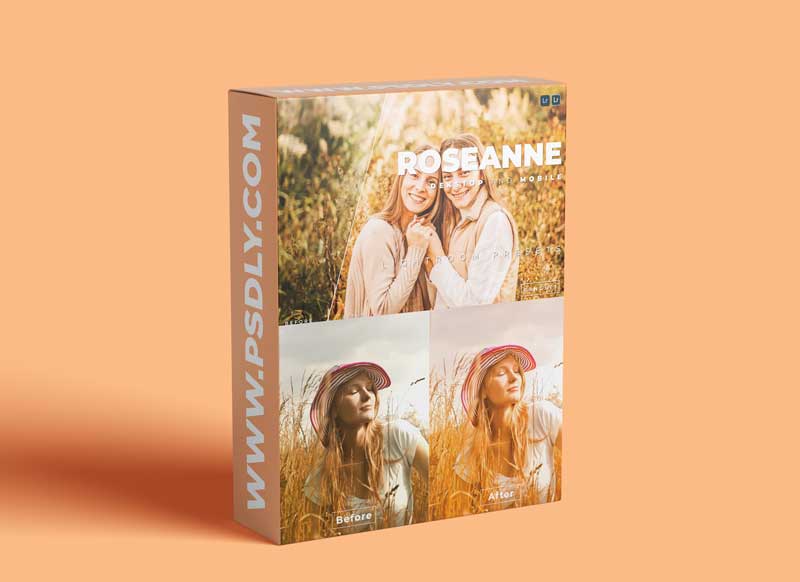 Roseanne Desktop and Mobile Lightroom Preset