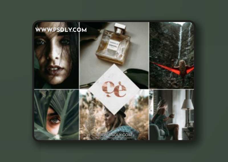 Summer Memories Lightroom Presets