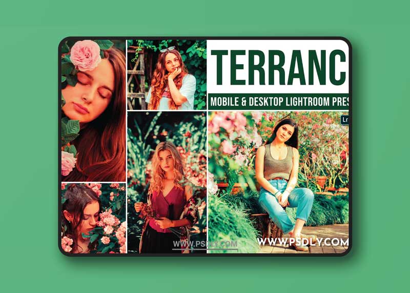 Terrance Mobile and Desktop Lightroom Presets