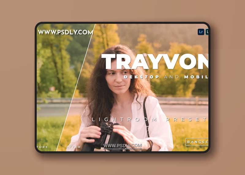 Trayvon Desktop and Mobile Lightroom Preset