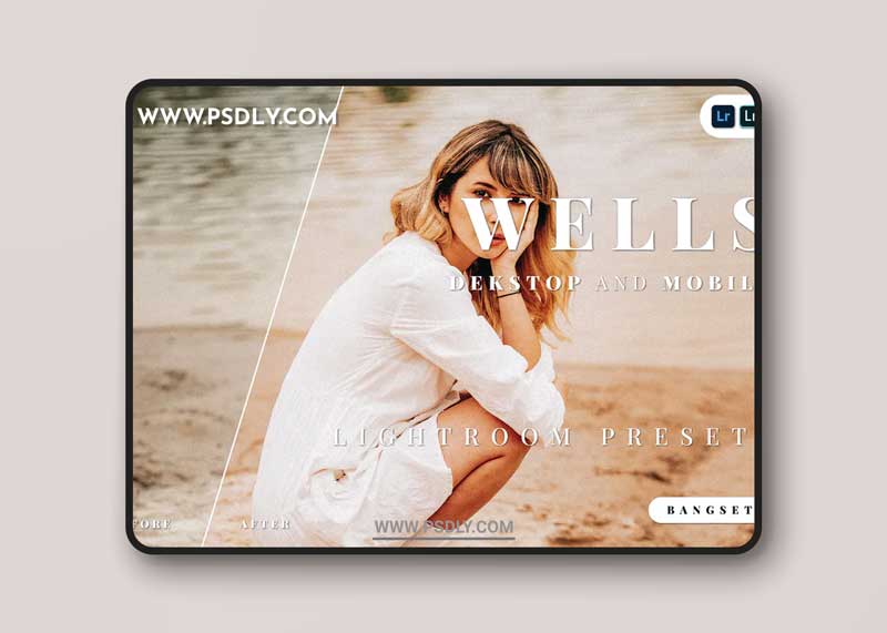 Wells Desktop and Mobile Lightroom Preset