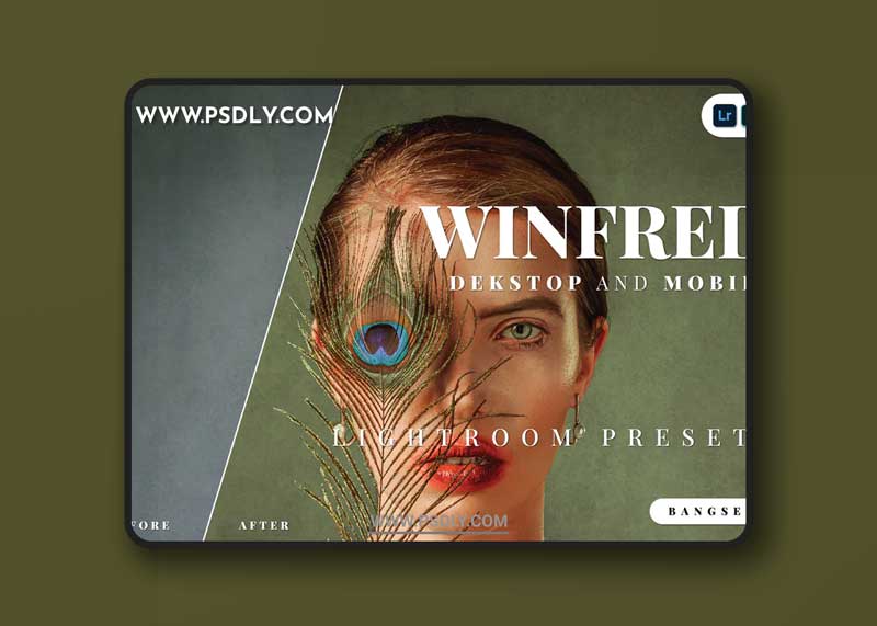 Winfred Desktop and Mobile Lightroom Preset