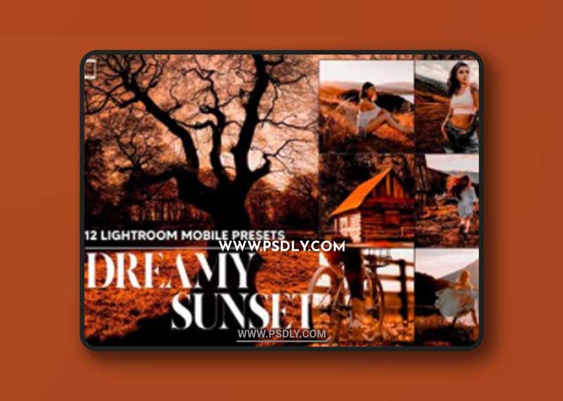 12 Dreamy Sunset Mobile LR Presets 14598582