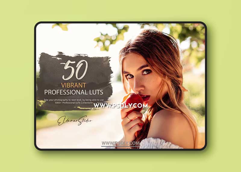 50 Vibrant LUTs and Presets Pack