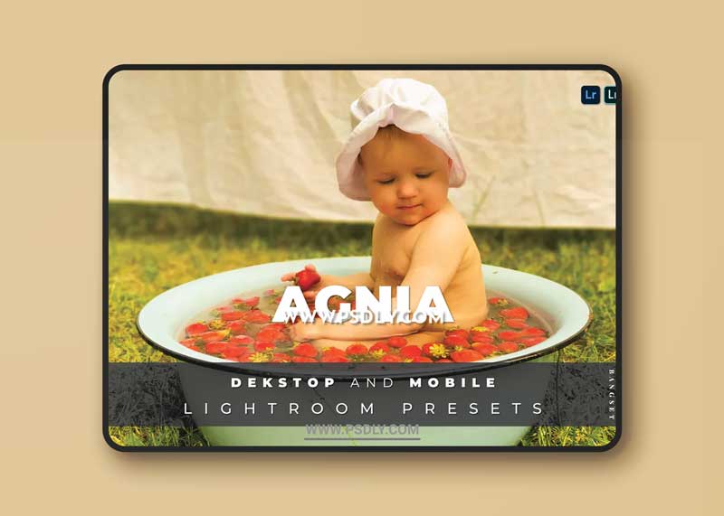 Agnia Desktop and Mobile Lightroom Preset