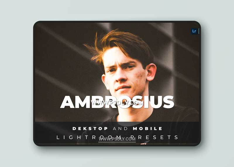 Ambrosius Desktop and Mobile Lightroom Preset