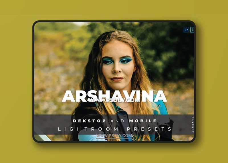 Arshavina Desktop and Mobile Lightroom Preset