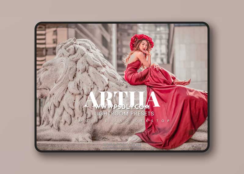 Artha Lightroom Presets Dekstop and Mobile