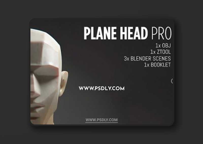 Artstation – Plane Head Pro Bundle: Model + PDF Booklet + Cheat Sheets
