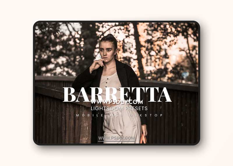 Barretta Lightroom Presets Dekstop and Mobile