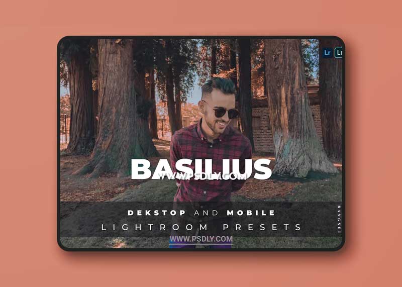 Basilius Desktop and Mobile Lightroom Preset