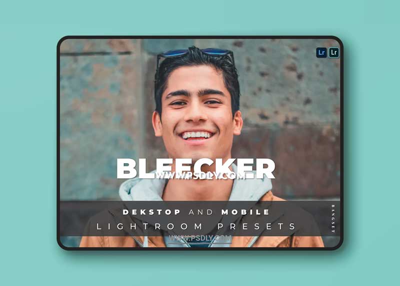 Bleecker Desktop and Mobile Lightroom Preset