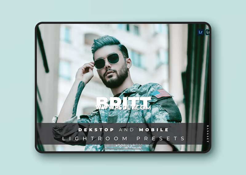 Britt Desktop and Mobile Lightroom Preset