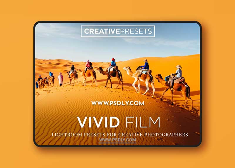CM - Vivid Film Lightroom Presets 2042925