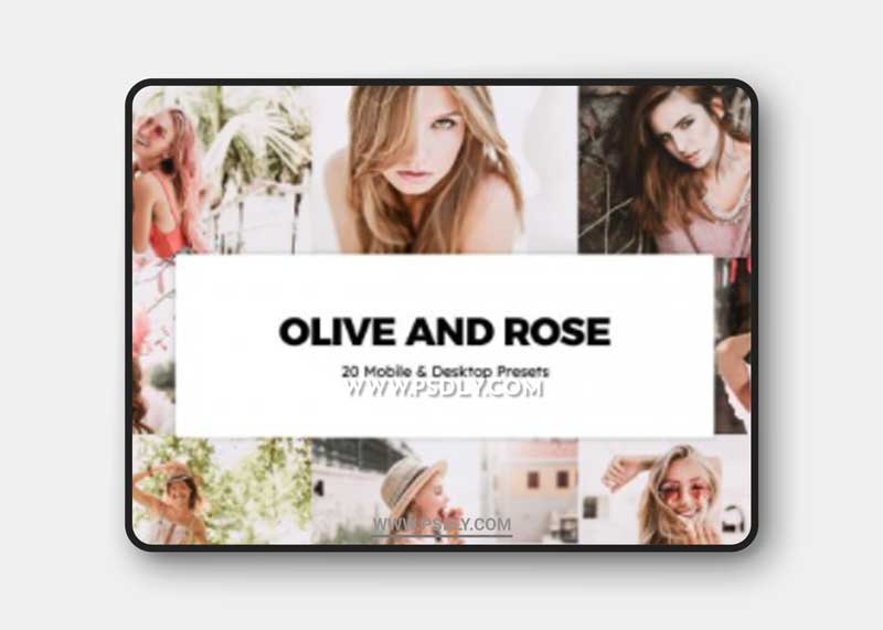 CreativeMarket - 20 Olive and Rose Lightroom Presets & LUTs 6237746