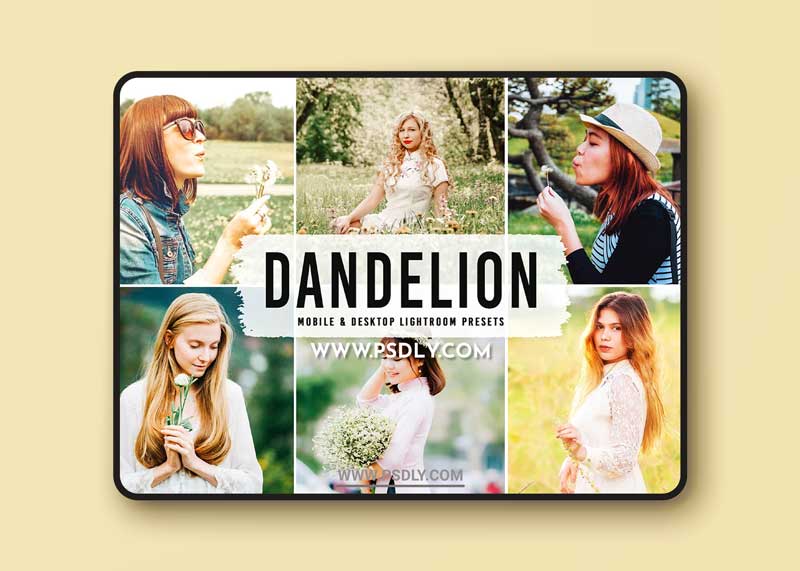 CreativeMarket - Dandelion Pro Lightroom Presets 6282798