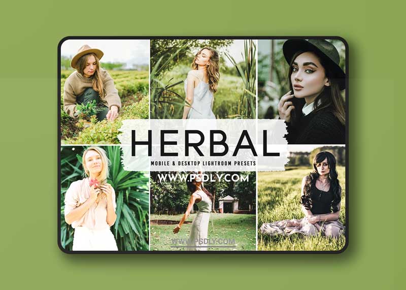 CreativeMarket - Herbal Pro Lightroom Presets 6283941