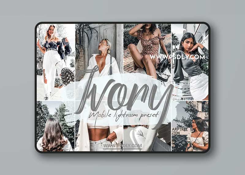 CreativeMarket - Ivory Lightroom Presets 5784614