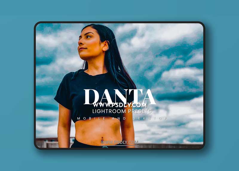 Danta Lightroom Presets Dekstop and Mobile