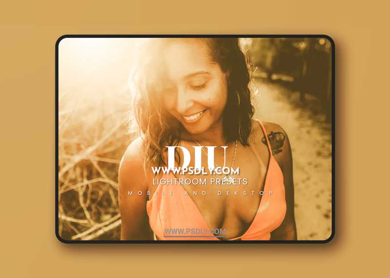 Diu Lightroom Presets Dekstop and Mobile