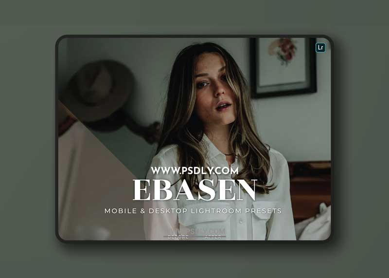 Ebasen Mobile and Desktop Lightroom Presets