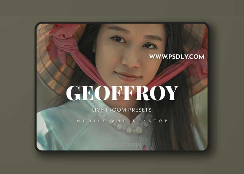 Geoffroy Lightroom Presets Dekstop and Mobile