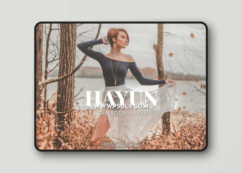 Hayun Lightroom Presets Dekstop and Mobile