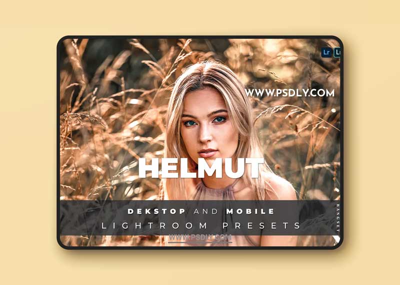 Helmut Desktop and Mobile Lightroom Preset