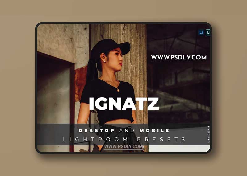 Ignatz Desktop and Mobile Lightroom Preset