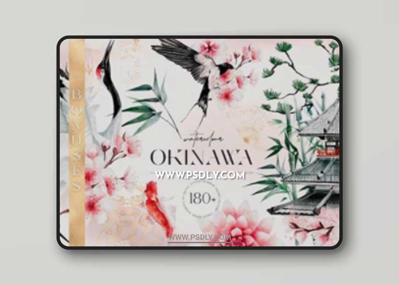 Japanese Huge Collection Plus BONUSES 14568265