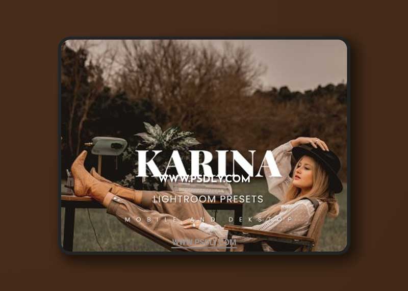 Karina Lightroom Presets Dekstop and Mobile