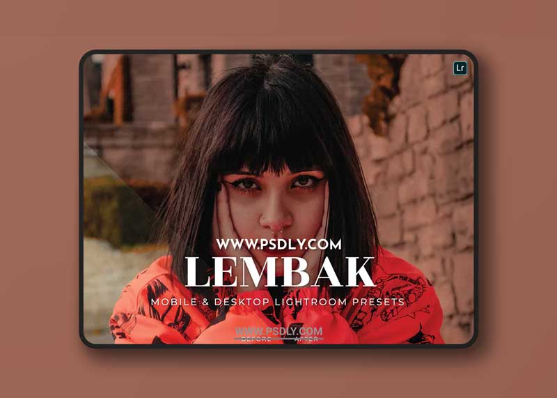 Lembak Mobile and Desktop Lightroom Presets