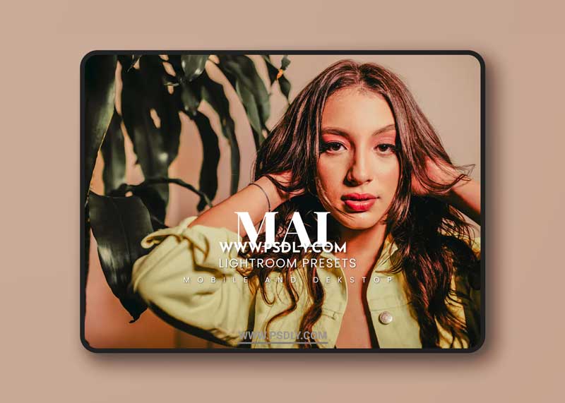 Mai Lightroom Presets Dekstop and Mobile