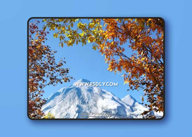 Maxtree - Plant Models Vol. 48