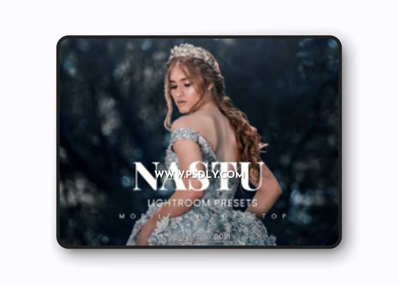Nastu Lightroom Presets Dekstop and Mobile