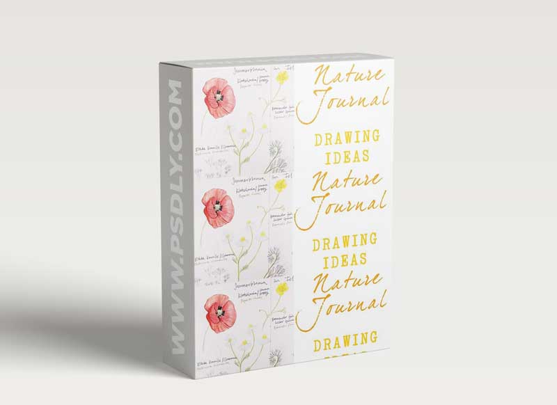 Nature Journal: Drawing Ideas for Summer