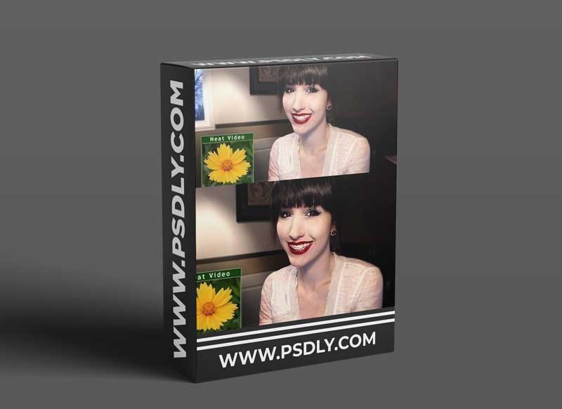 Neat Video Pro 5.3.0 for Adobe After Effects