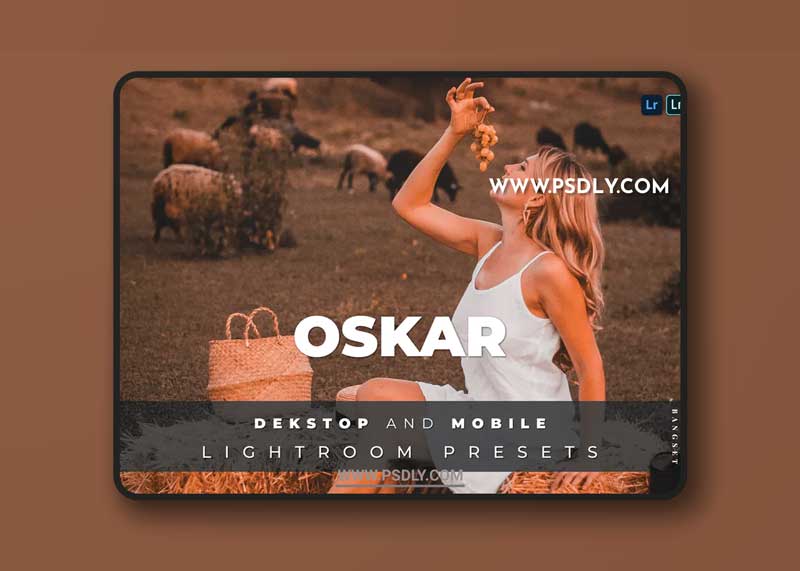 Oskar Desktop and Mobile Lightroom Preset