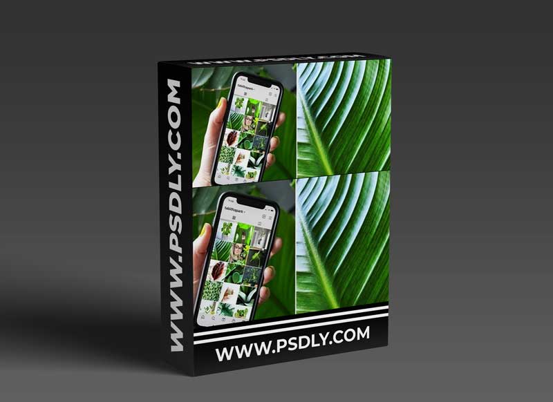 Plant Photography: Take Better Photos at Home for Instagram