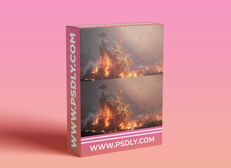 Rebelway – Advanced Fx Rise Week 1